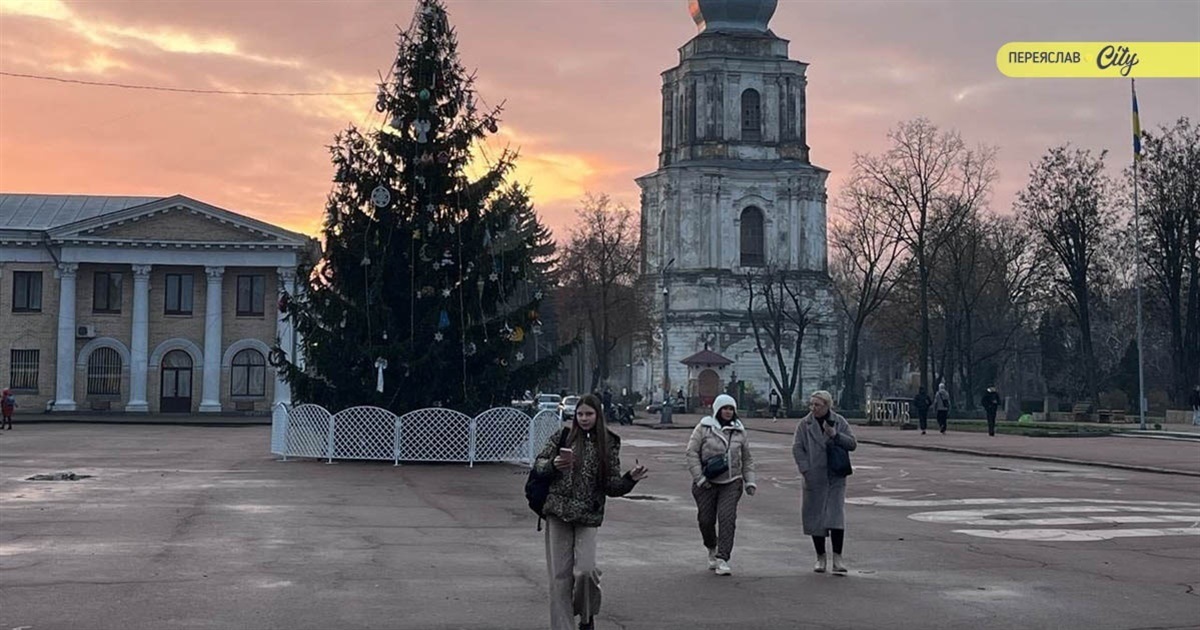 "Син привіз саджанці з Карпат": як родинне дерево стало головною ялинкою Переяслава