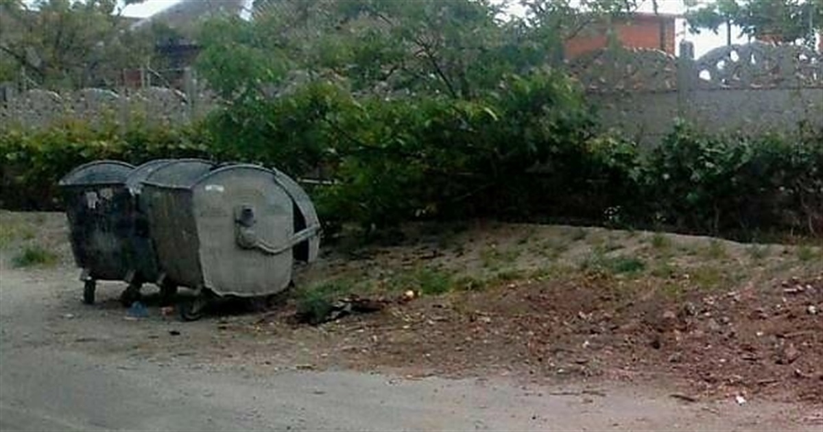 1000 і 1 контейнер або - побутове в бачки, гілля - біля: як у Нікополі долають проблеми зі сміттям