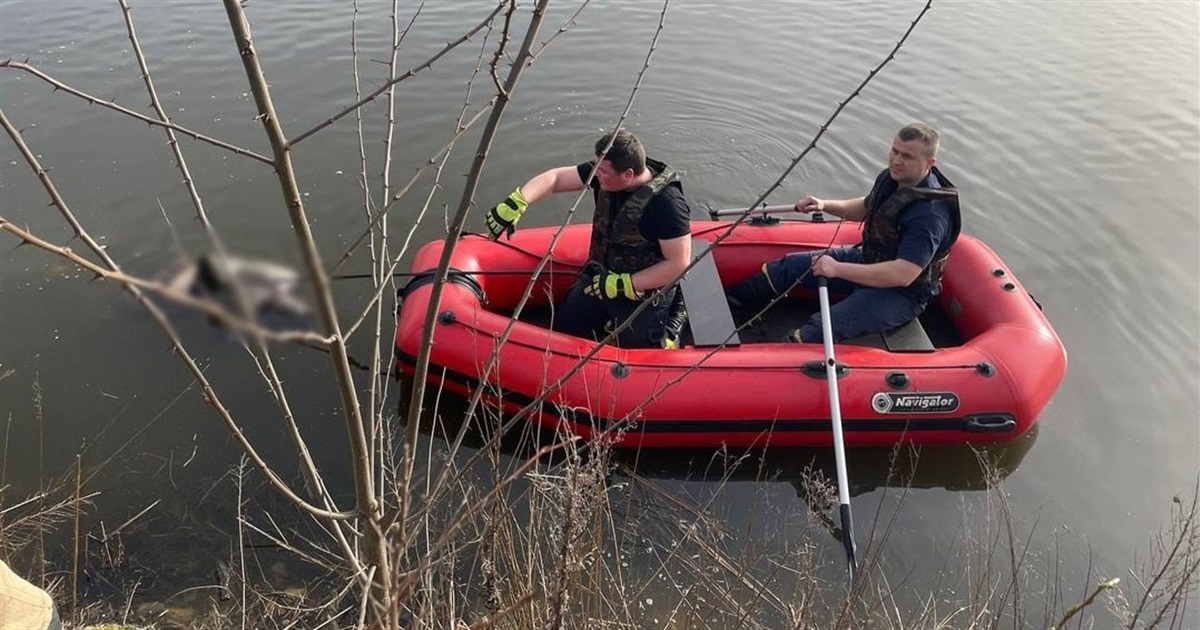 На Звягельщині в копанці з водою знайшли тіло чоловіка