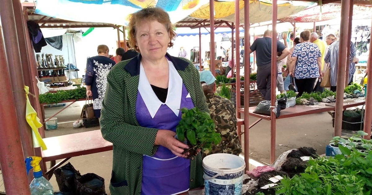 Актуальні ціни на ринку у Звягелі: огляд продуктів, м’яса, риби та городини
