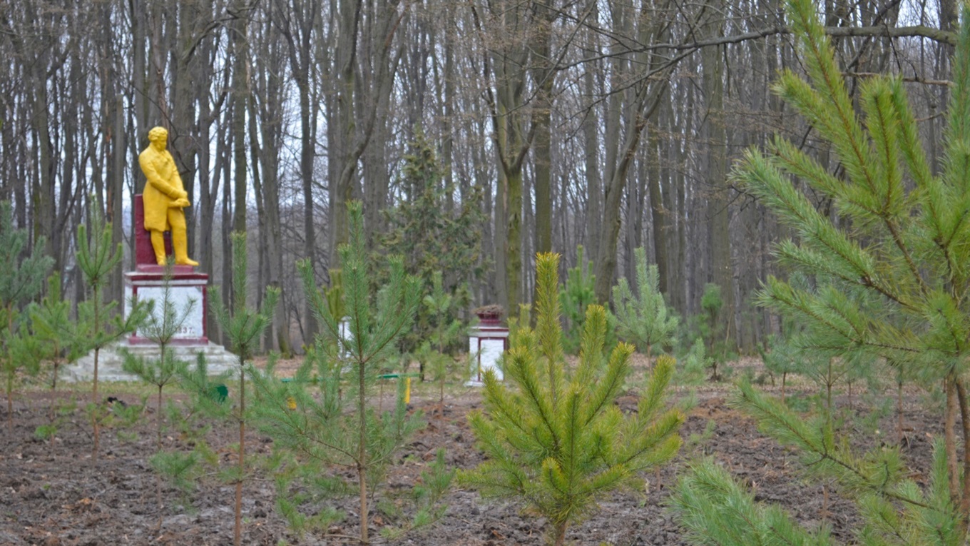 У Жмеринському парку висадили 100 молодих сосен: акція озеленення триває