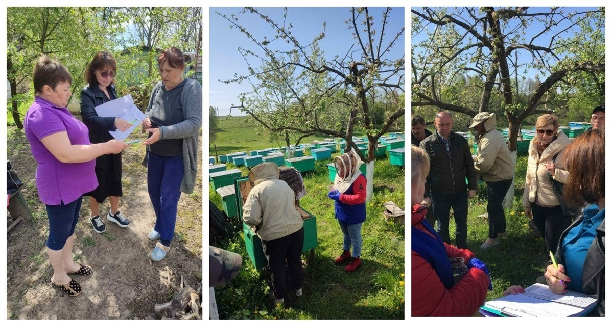 Другий день поспіль комісія обстежує пасіки у селах Жмеринської громади через отруєння бджіл
