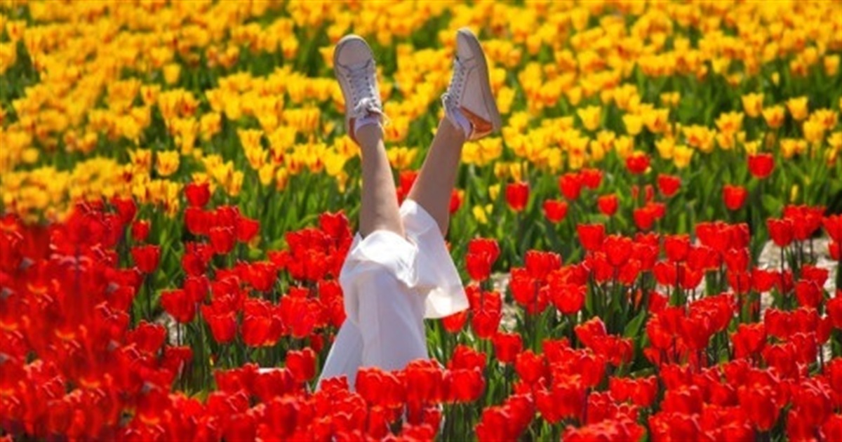 Квітковий туризм 2026. П'ять найкращих місць у світі для подорожей