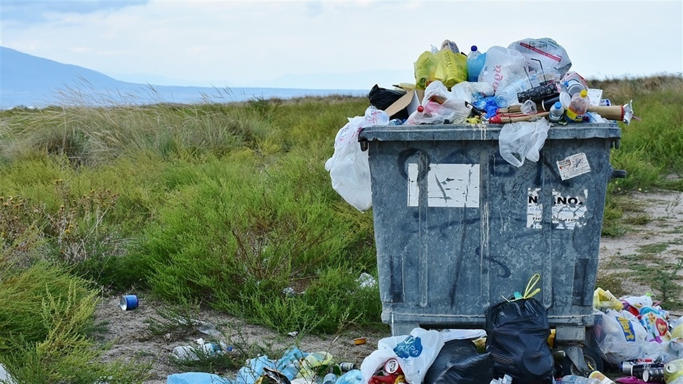 Чи вмієте ви правильно сортувати сміття