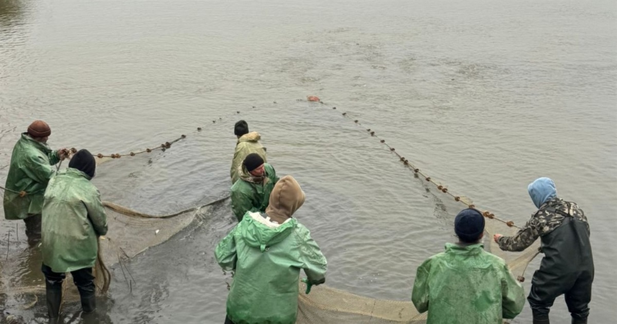 Понад 3 мільйони мальків випущено у водойми Ялпуг-Кугурлуй