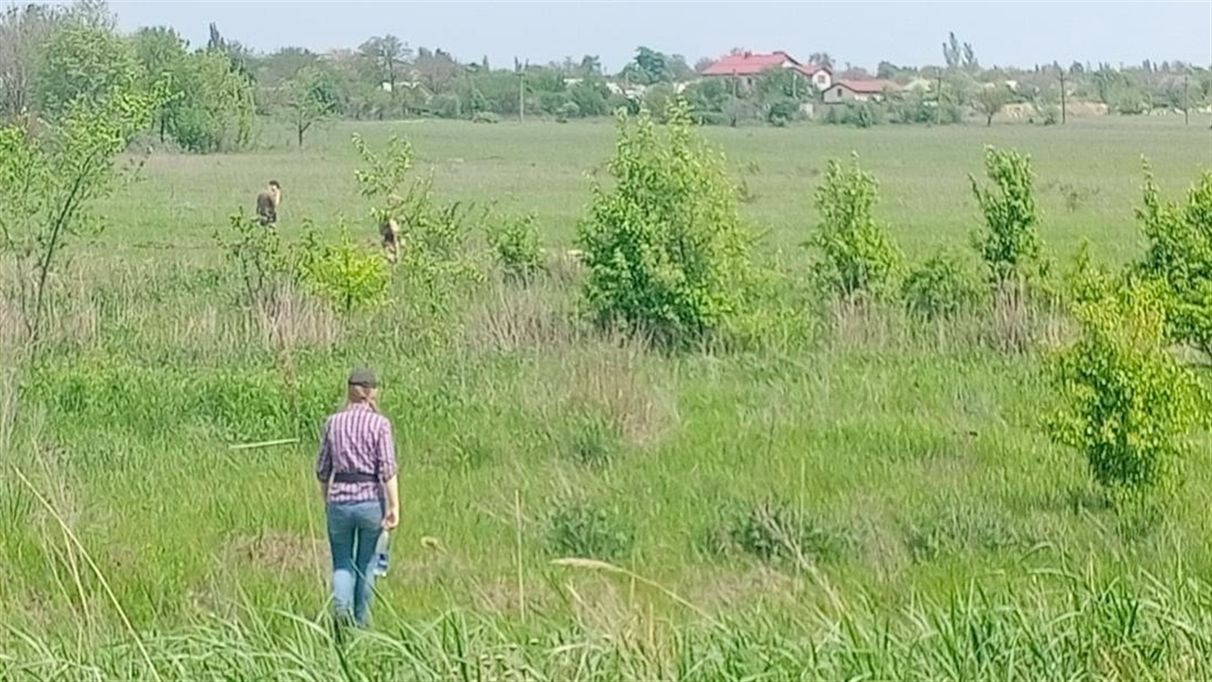 Пропавшего дедушку нашли