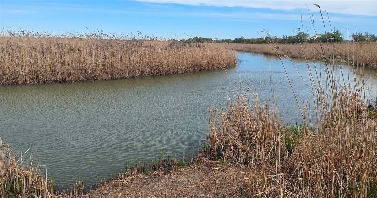 В Ізмаїльському районі відновлюють екосистеми та наповнюють водосховища