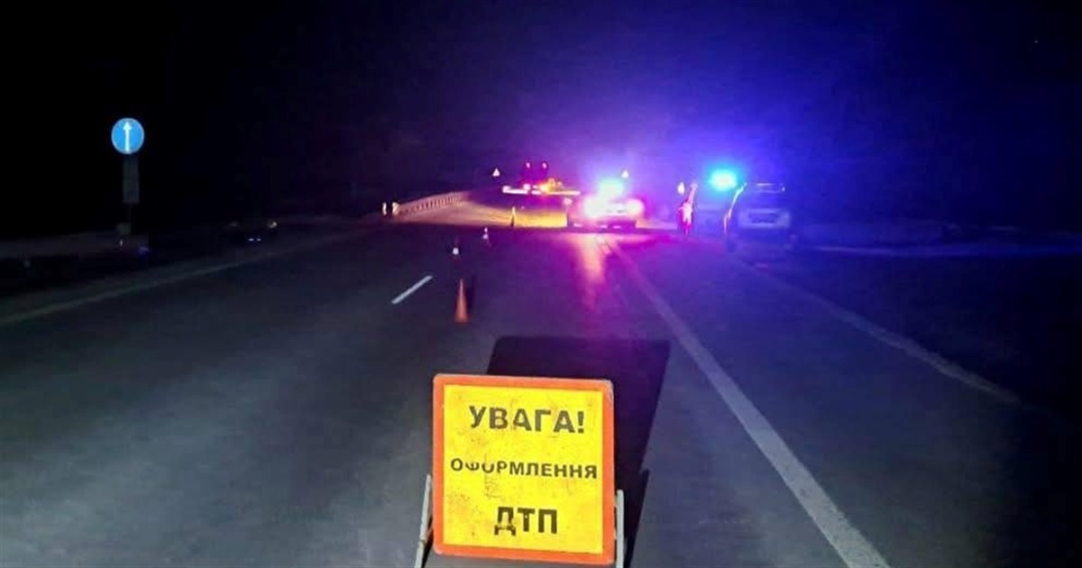 ДТП за участі "Mitsubishi" та гужової повозки: на Звягельщині поліцейські шукають очевидців