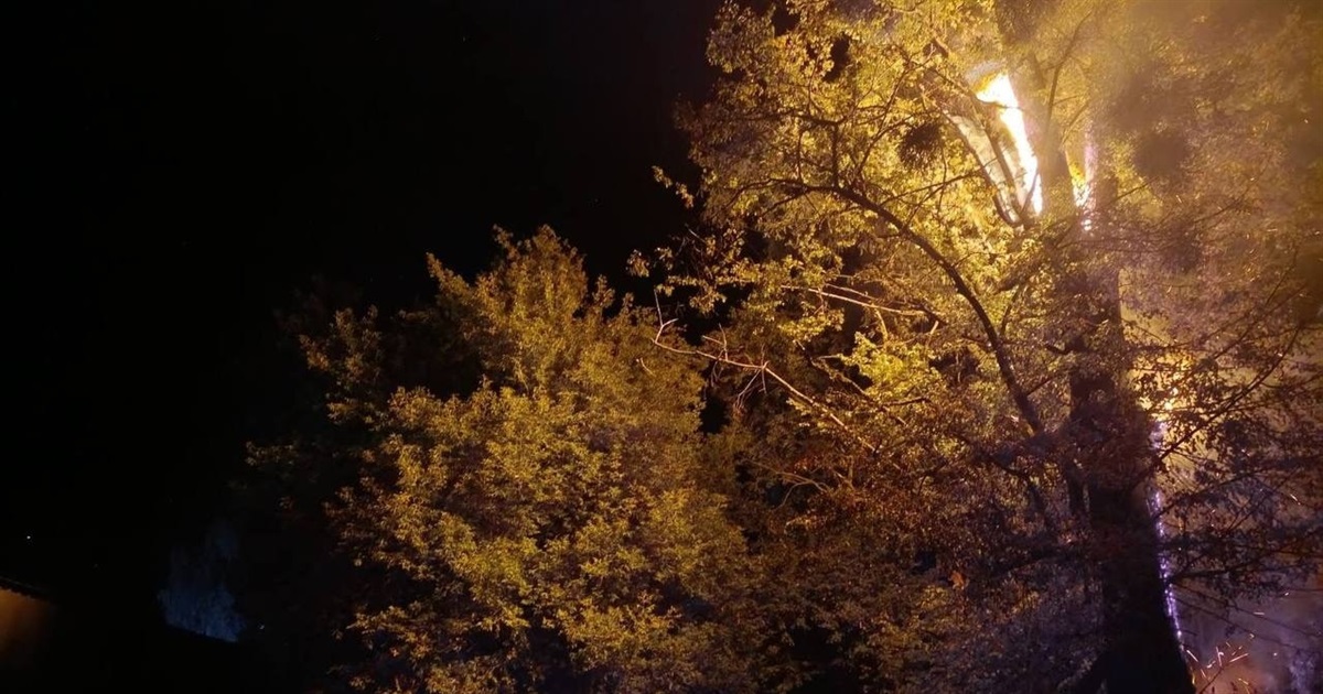 У Переяславі горіли суха трава та дерево
