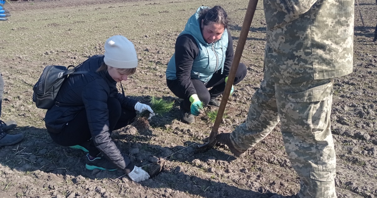 У Мені взялися садити ліс, зроблять паркову зону та облаштують липові алеї