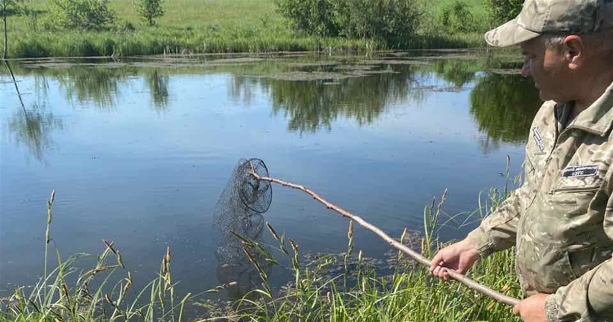 Понад пів мільйона гривень збитків через незаконне рибальство на Житомирщині: діє нерестова заборона