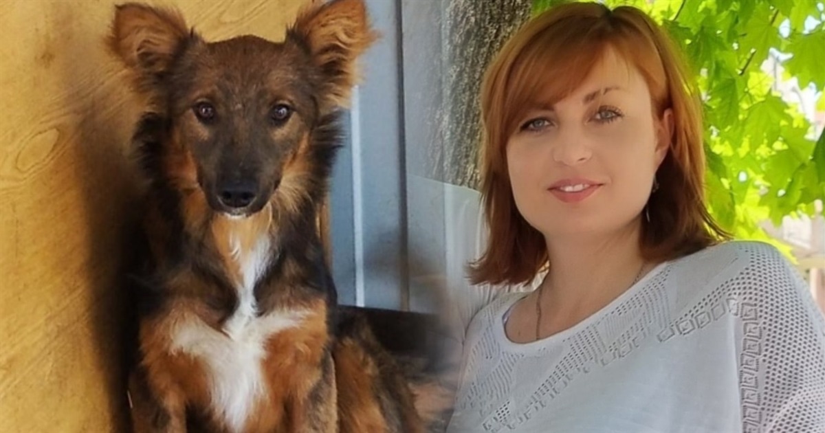"Справжній ангел для чудових собачок": Тетяна Чеботарь багато років опікується бездомними тваринами
