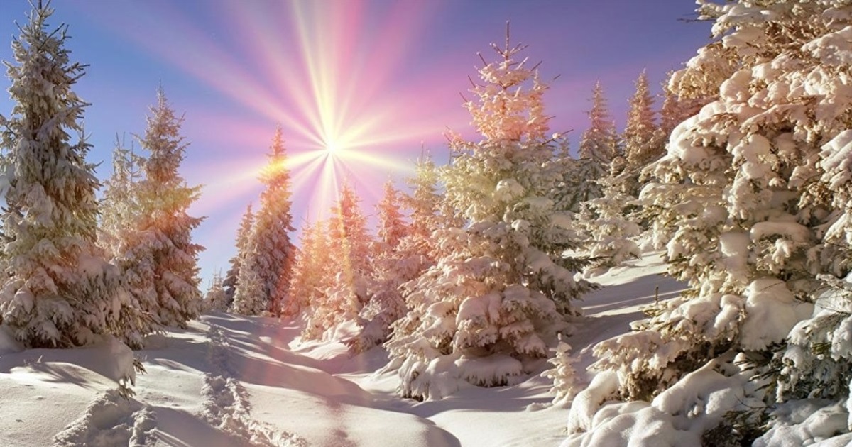 В ніч на вівторок на Сумщині знову прогнозують мінус 25: погода від синоптиків