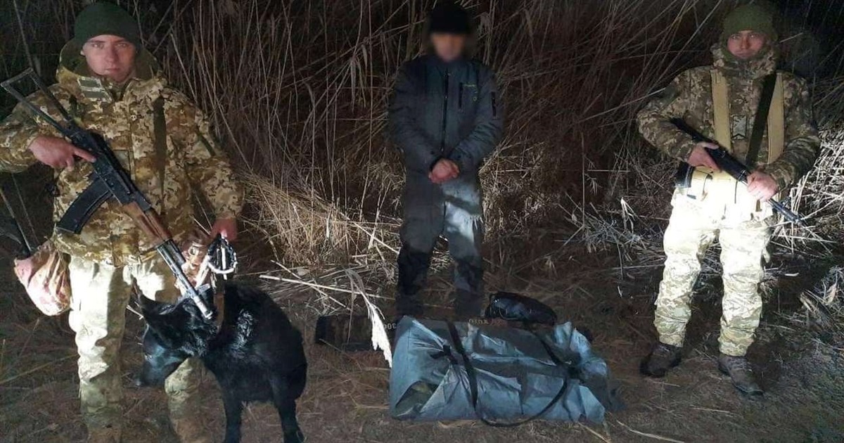 На річці Дунай прикордонна вівчарка Фрея виявила незаконного туриста