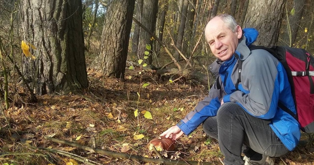 Куди мешканцям Бучі, Ірпеня і Гостомеля їхати по гриби? Локації