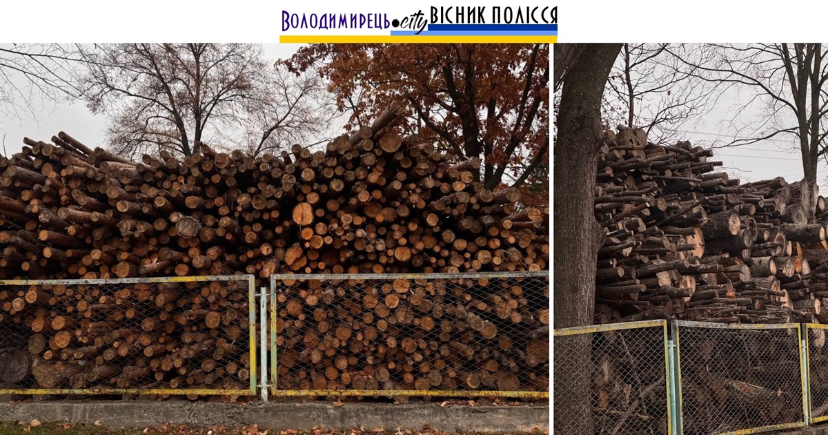 «Кримінальні дрова»: яка доля очікує на скандальний законопроєкт?