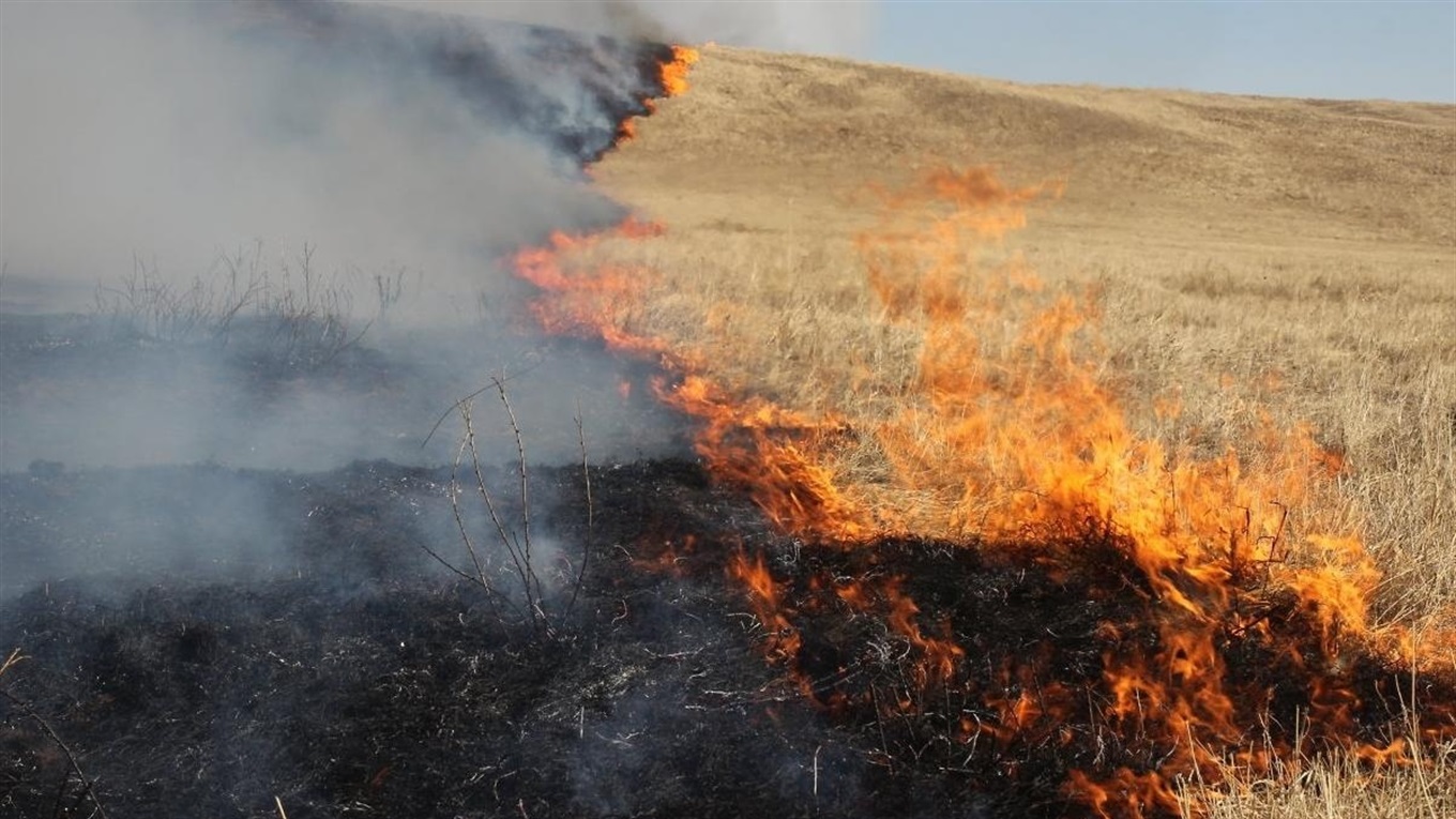 Пожежні Білопільщини приборкують загоряння сухої рослинності на території району