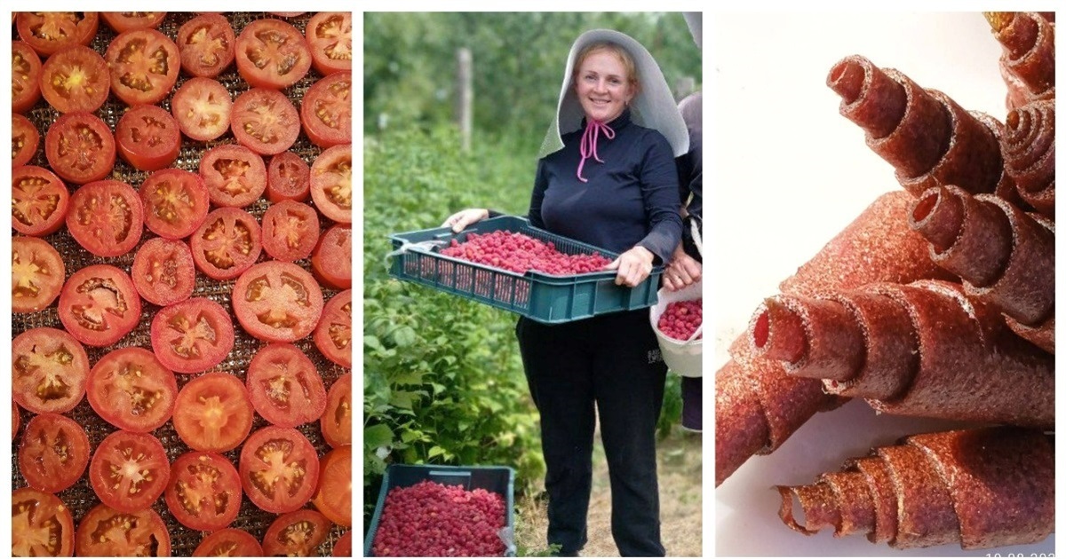 Як кримчанка вирощує у Жмеринці томати, фруктові чіпси і пастилу