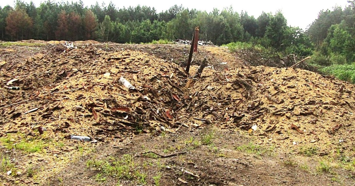 З лісгоспу на Звягельщині стягнуть понад 1 млн грн за заподіяну довкіллю шкоди