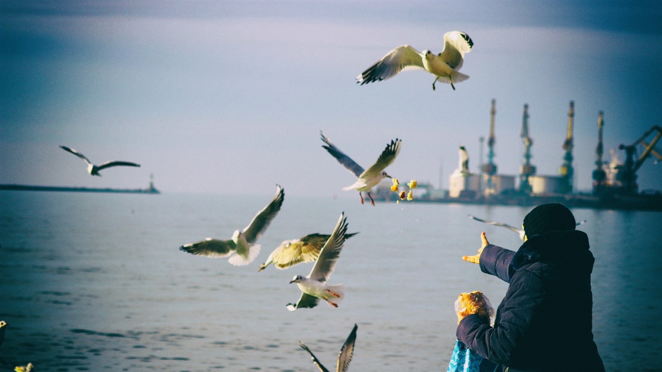 Досуг в Бердянске. Куда пойти на выходных?