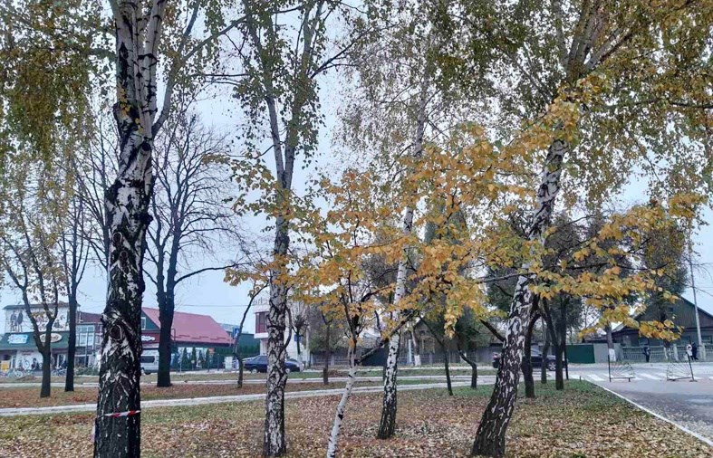 Погода на 28 жовтня