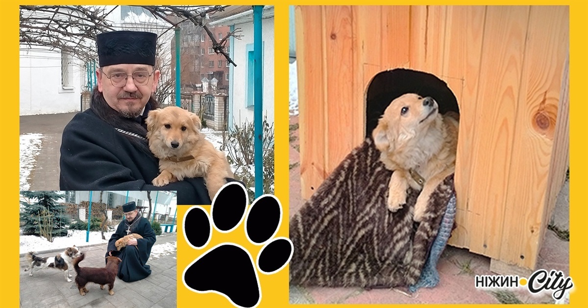 Патрон на "ротації"