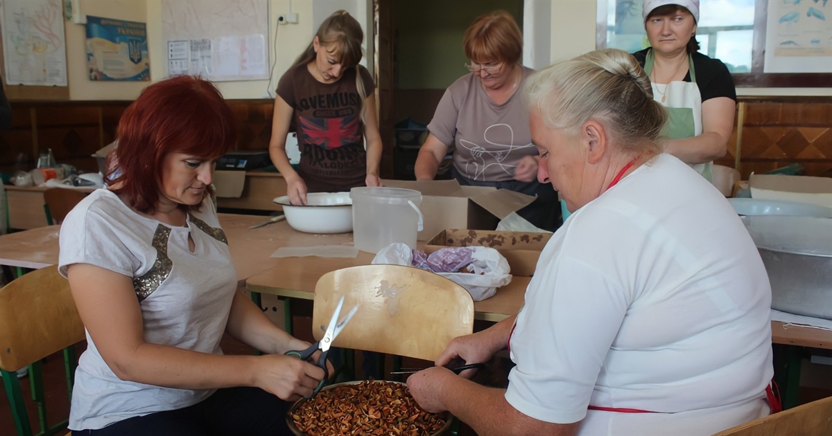 Відпустка у школі: городоцькі педагоги зробили 16 тисяч консервів та 1500 сухих сніданків