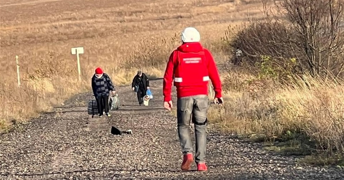 Для переходу в Україну через Колотилівку відтепер потрібні документи на тварин