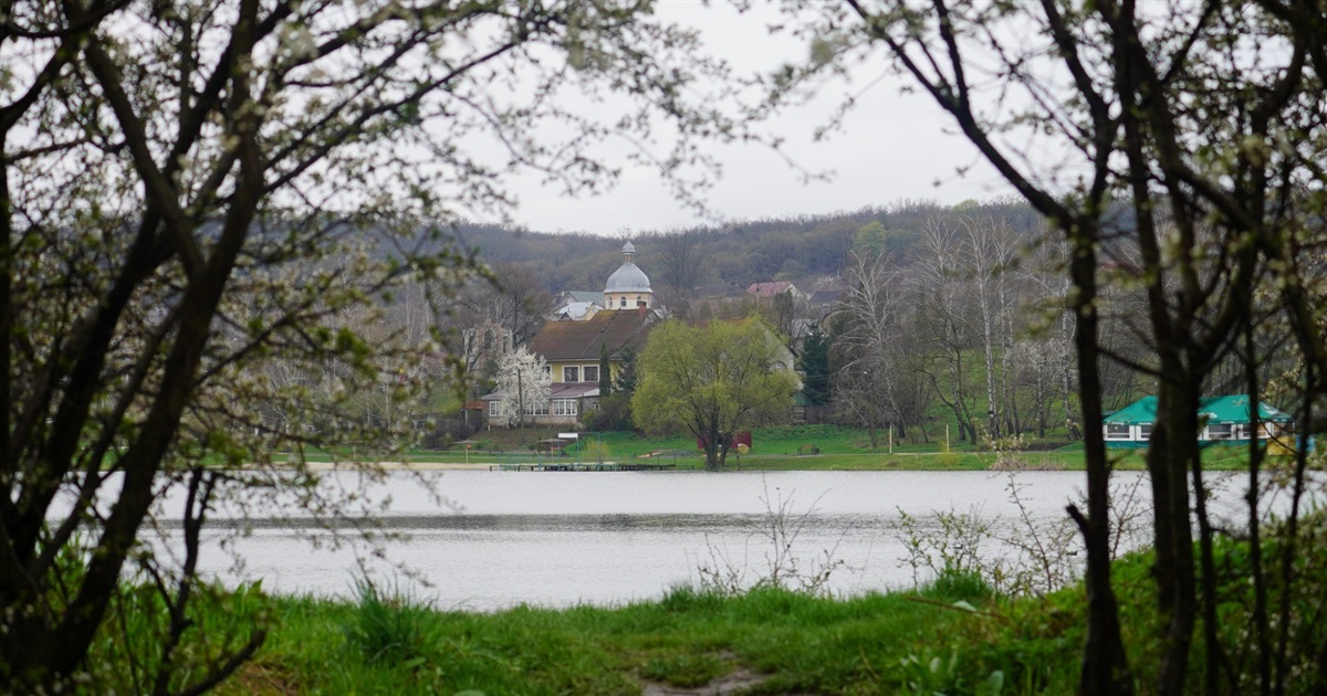 Весна у Городку. Городок.City зробив підбірку фото квітучих дерев та закоханих лебедів (ФОТО)