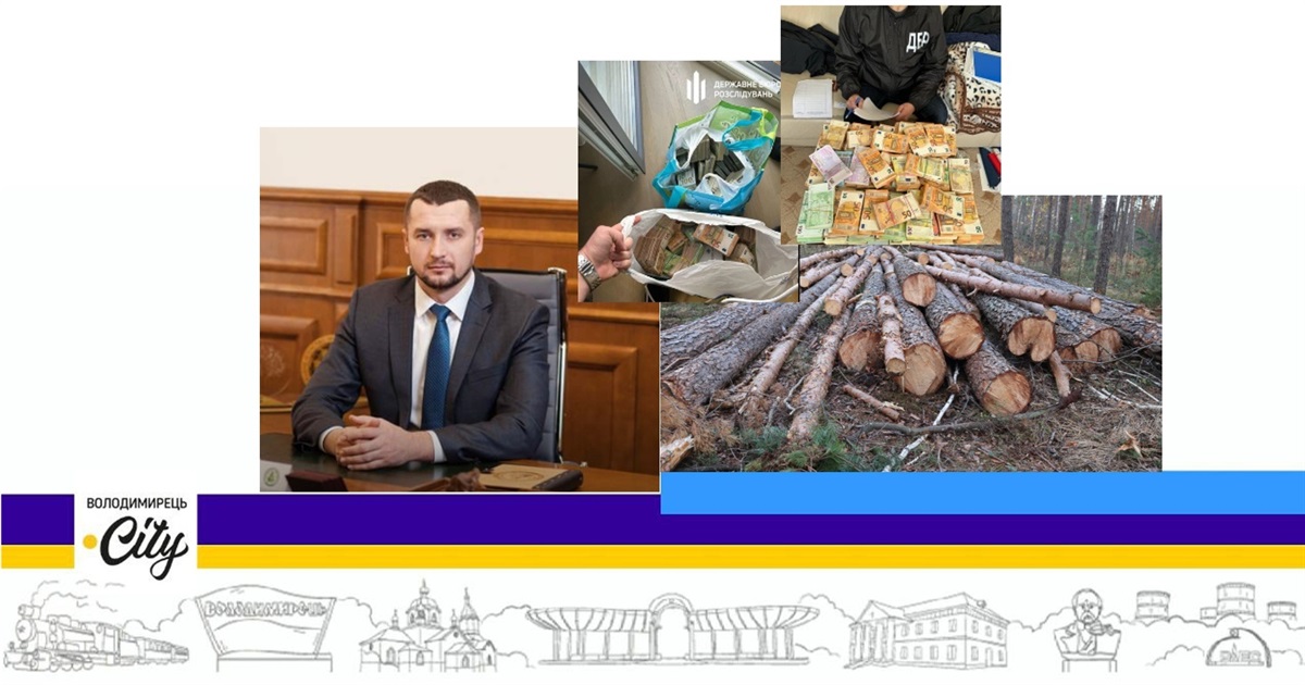 На Рівненщині звільняють усіх керівників лісгоспів одночасно. У чому суть?
