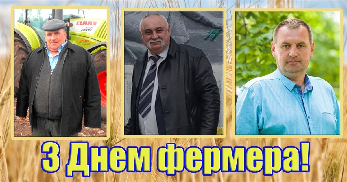 Хліб із прикордоння: як працюють у зоні бойових дій білопільські фермери