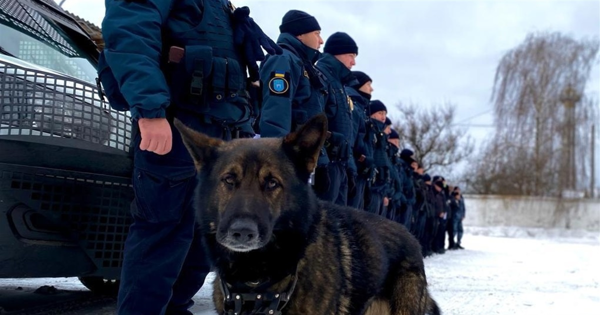 П'ють алкоголь, палять та порушують ПДР: що виявили під час відпрацювання у Новограді