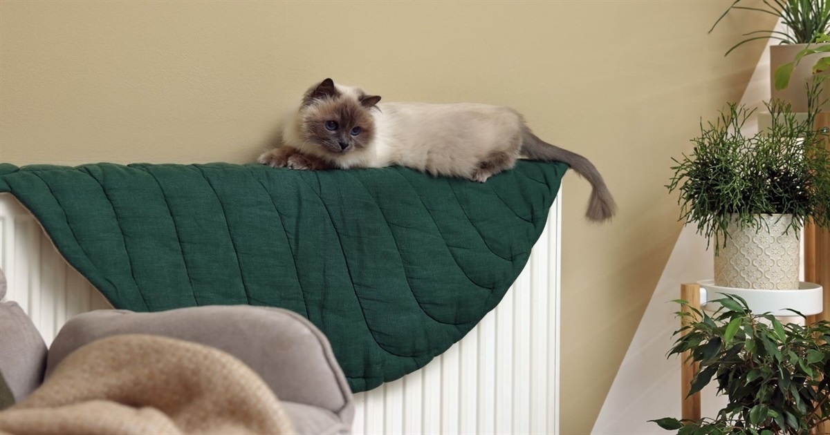 Як безпечно користуватися газовим котлом та плитою після відключень електроенергії