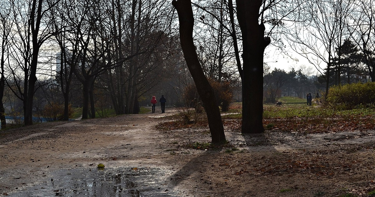 Мінлива хмарність і слабкий туман: яку погоду прогнозують синоптики