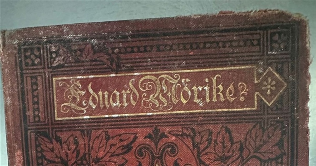В пункті пропуску Ізмаїльські прикордонники виявили старовинні книги 19-20 століття