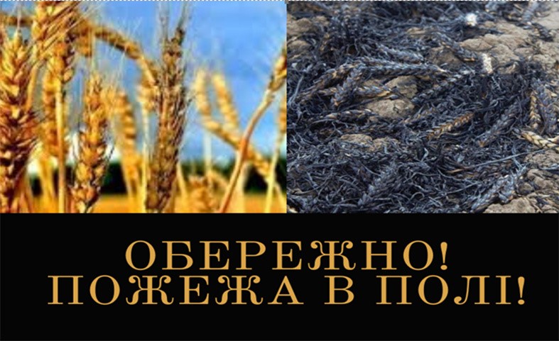 Рятувальники попереджають про небезпеку виникнення пожеж на хлібних масивах