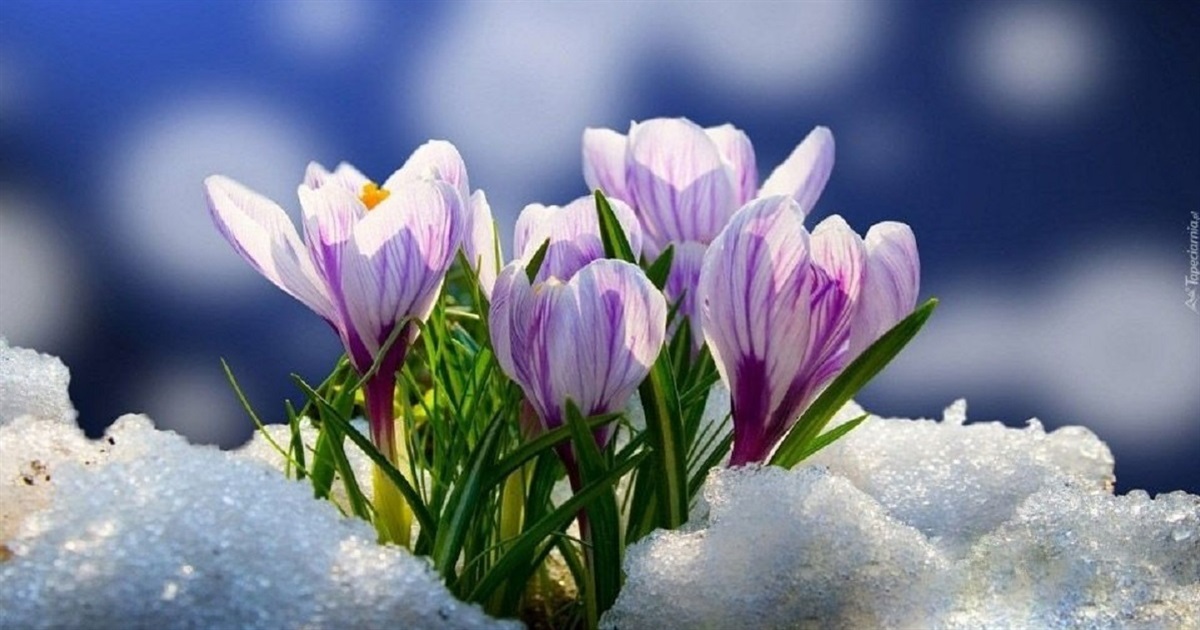 Невеликі опади та місцями ожеледиця: що прогнозують синоптики на другу половину тижня