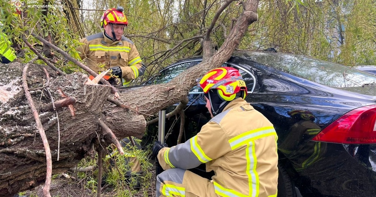 Вирвані з корінням дерева і заблоковані дороги: наслідки негоди на Житомирщині
