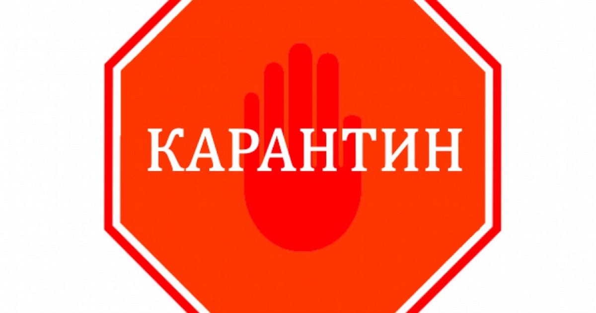 В частині Ізмаїлу введений карантин по сказу