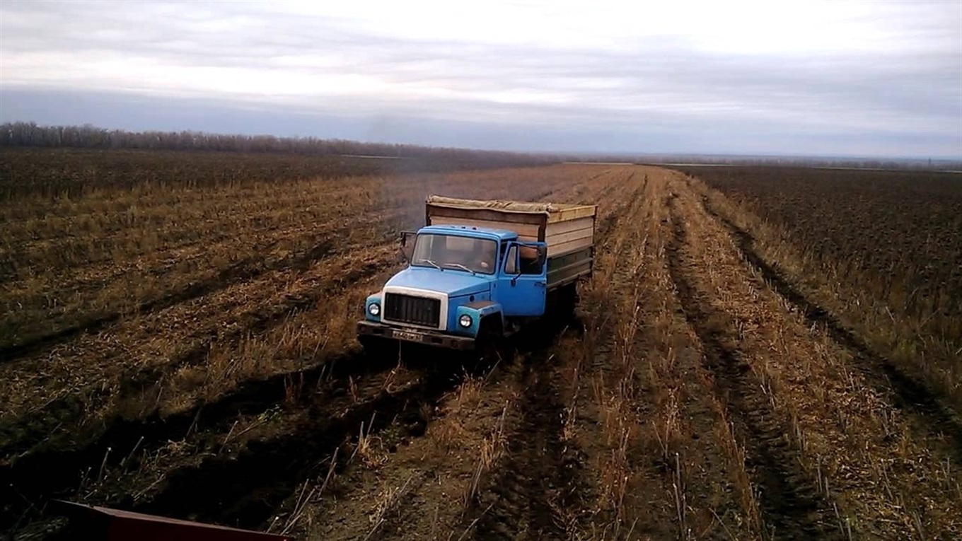 Поліція Білопільщини розкрила крадіжку майже 30 тонн соняшникового насіння