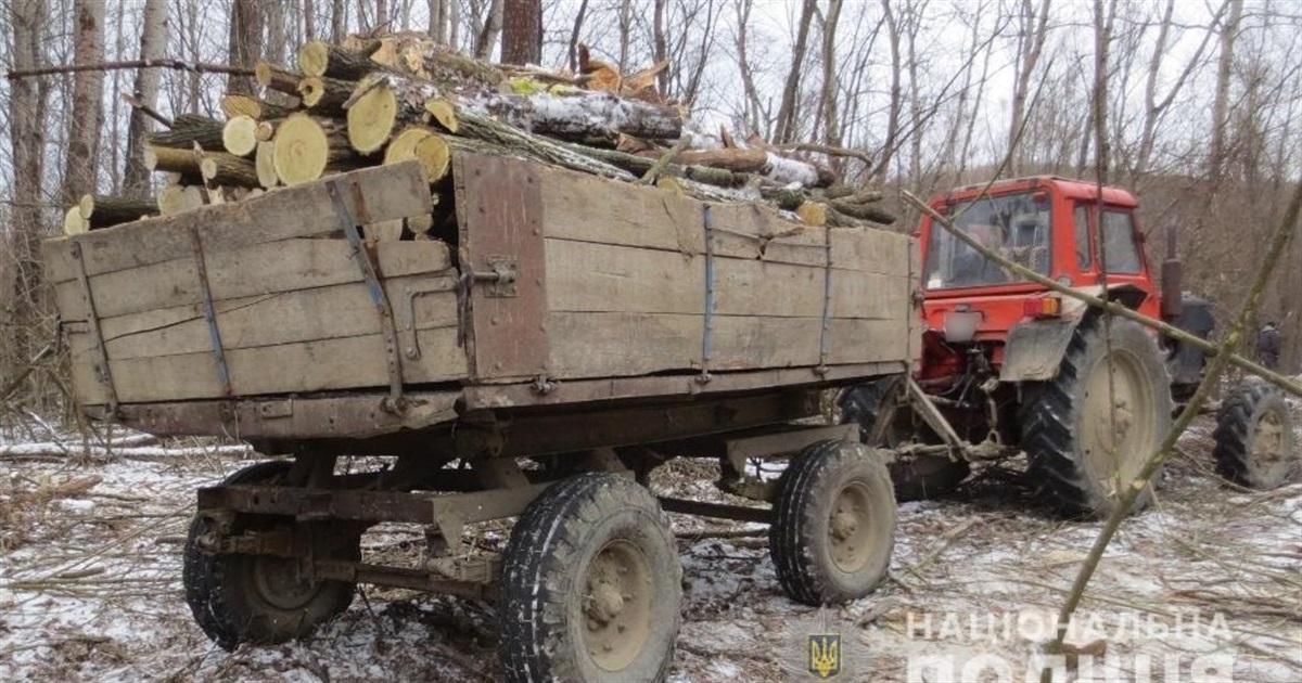 У Шипинцях четверо місцевих незаконно рубали дерева, правоохоронці відкрили кримінальне провадження