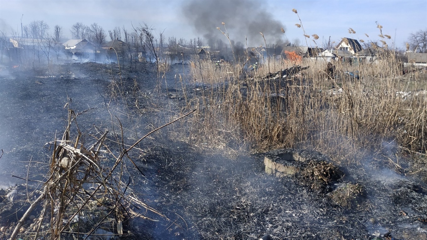 Апокаліпсис по-сватівськи: у районі за тиждень сталося 17 пожеж у екосистемі. Гинуть тварини