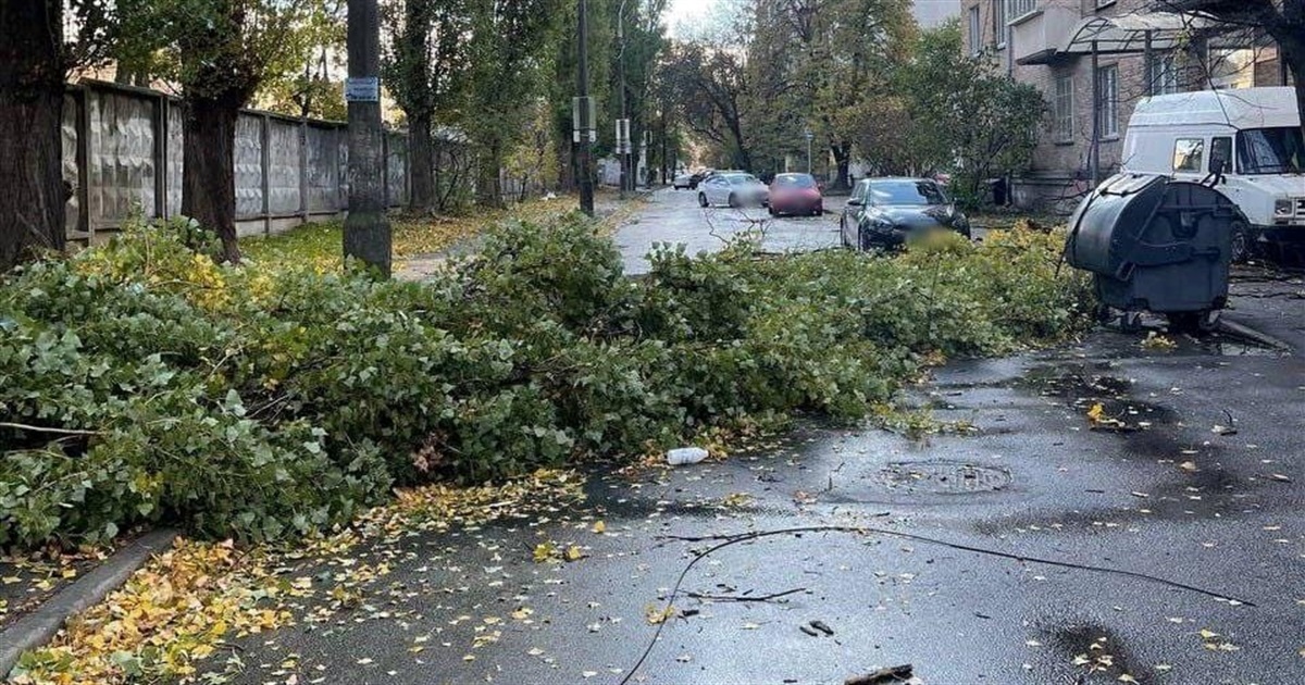Сильний вітер зриває дахи, утеплення з будинків і валить дерева: негода вирує і на Переяславщині