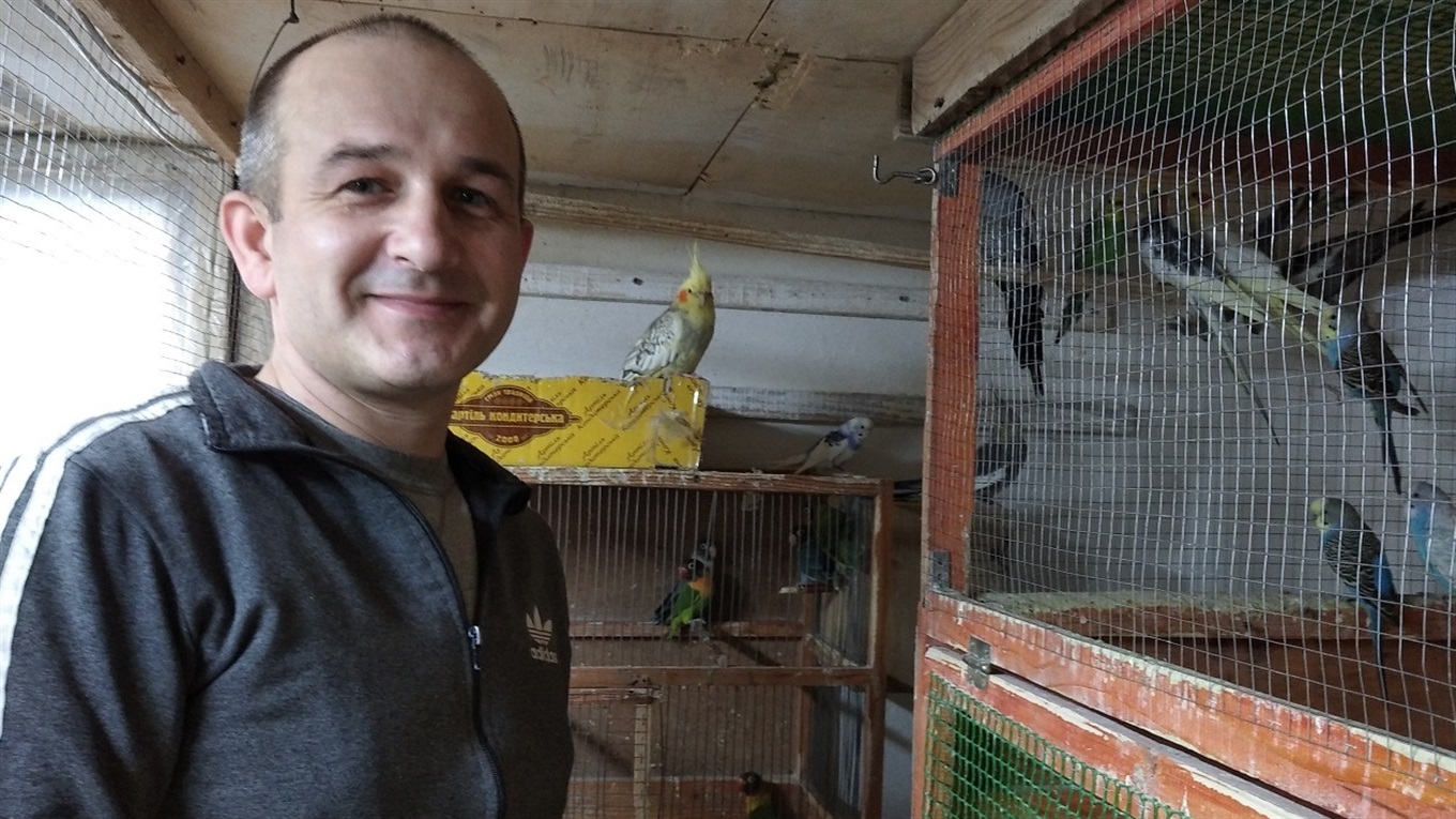Різнобарвне хобі Михайла Воронкова: калинівчанин утримує більше ста папуг