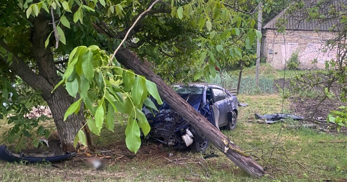 На світанку в дерево: у Вознесенському районі в аварії загинула пасажирка