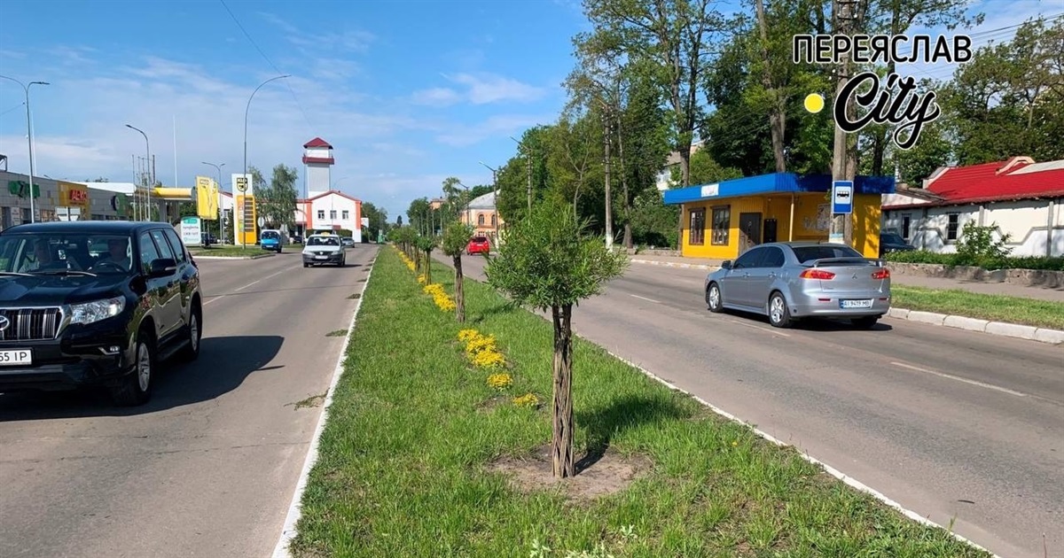 Весняне оновлення: на Покровській у Переяславі підстригли декоративні верби та висадили нові