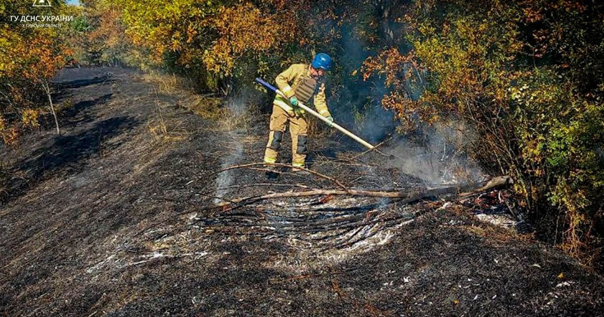 На Білопільщині вогнеборці ліквідували загоряння сухої рослинності