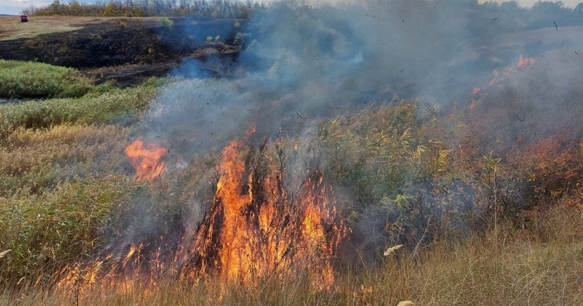 За останні 10 днів на Сватівщині сталося 18 пожеж: одна людина потрапила до лікарні з опіками