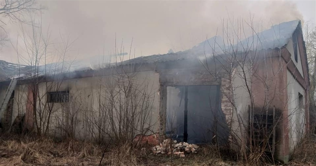 Вогнеборці ліквідувли чотири пожежі: де в області працювали рятувальники