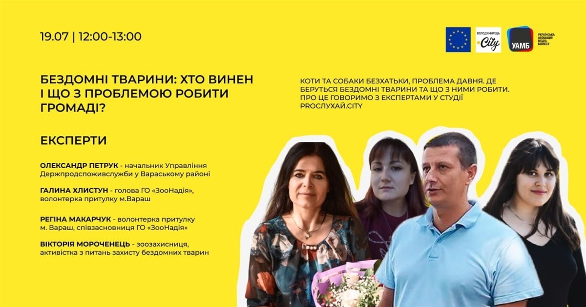 Бездомні тварини: хто винен і що з проблемою робити громаді? Редакція зібрала експертів